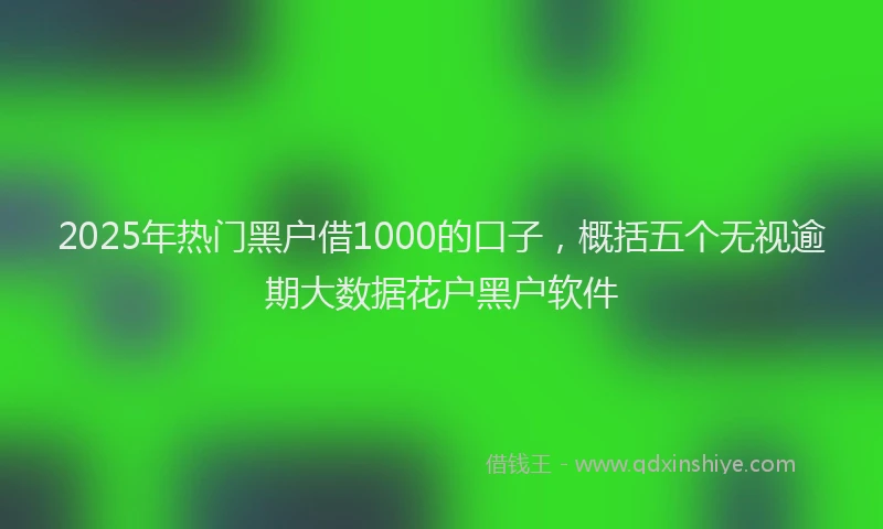 2025年热门黑户借1000的口子，概括五个无视逾期大数据花户黑户软件