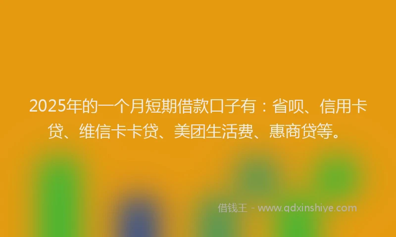 2025年的一个月短期借款口子有：省呗、信用卡贷、维信卡卡贷、美团生活费、惠商贷等。