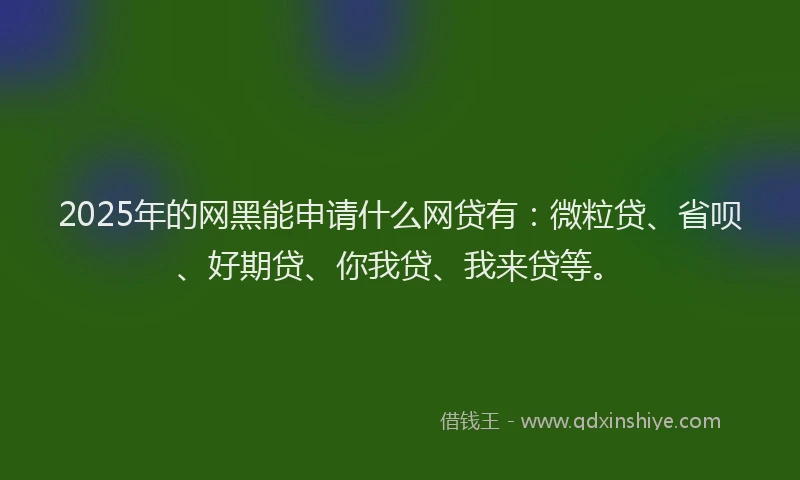 2025年的网黑能申请什么网贷有：微粒贷、省呗、好期贷、你我贷、我来贷等。