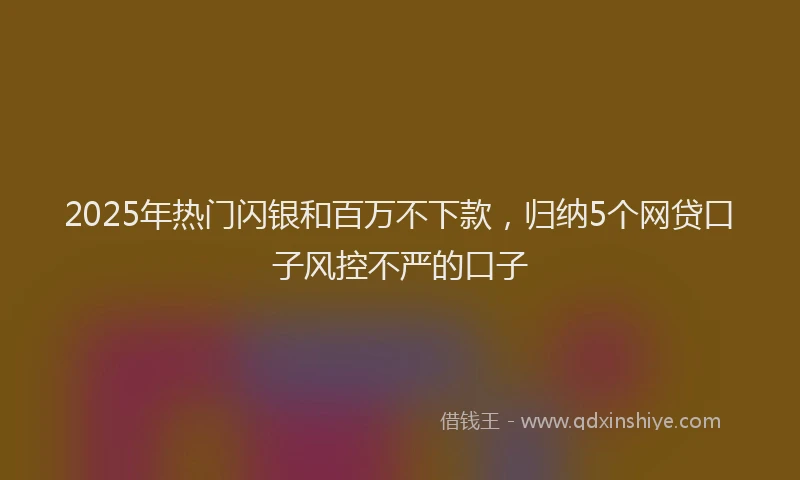 2025年热门闪银和百万不下款，归纳5个网贷口子风控不严的口子