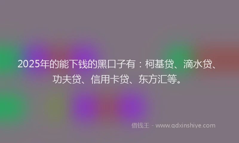 2025年的能下钱的黑口子有：柯基贷、滴水贷、功夫贷、信用卡贷、东方汇等。