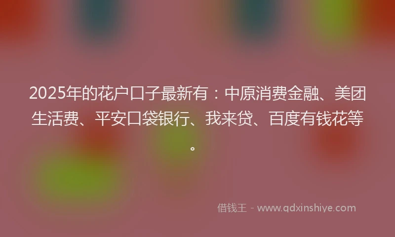 2025年的花户口子最新有：中原消费金融、美团生活费、平安口袋银行、我来贷、百度有钱花等。