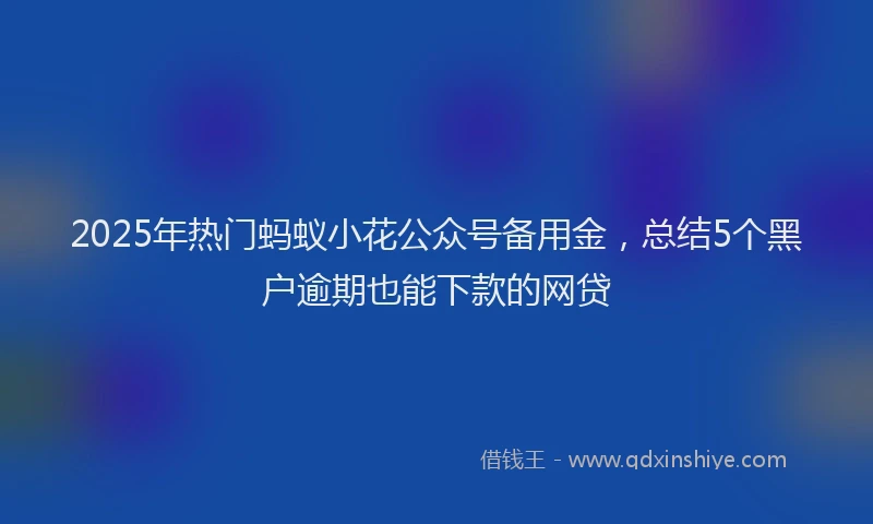 2025年热门蚂蚁小花公众号备用金，总结5个黑户逾期也能下款的网贷
