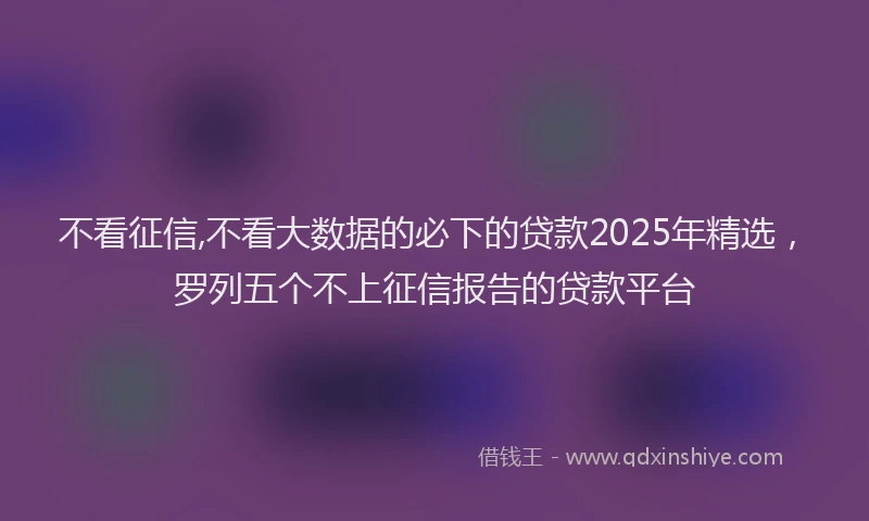 不看征信,不看大数据的必下的贷款2025年精选，罗列五个不上征信报告的贷款平台