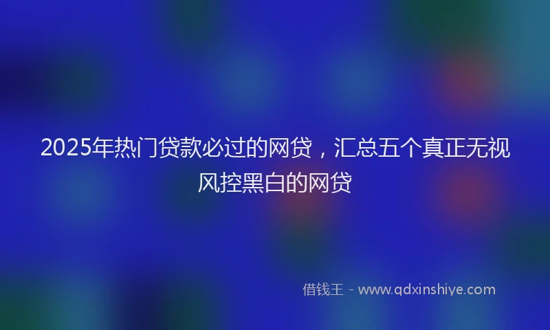 2025年热门贷款必过的网贷，汇总五个真正无视风控黑白的网贷