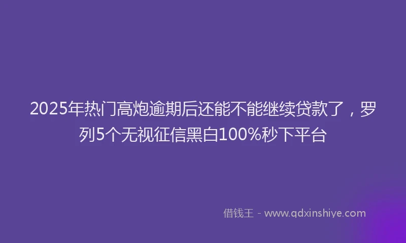 2025年热门高炮逾期后还能不能继续贷款了，罗列5个无视征信黑白100%秒下平台