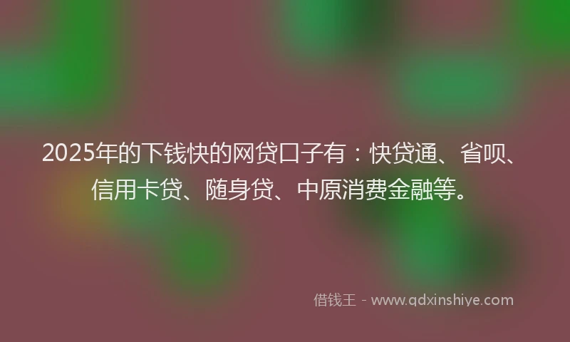 2025年的下钱快的网贷口子有：快贷通、省呗、信用卡贷、随身贷、中原消费金融等。