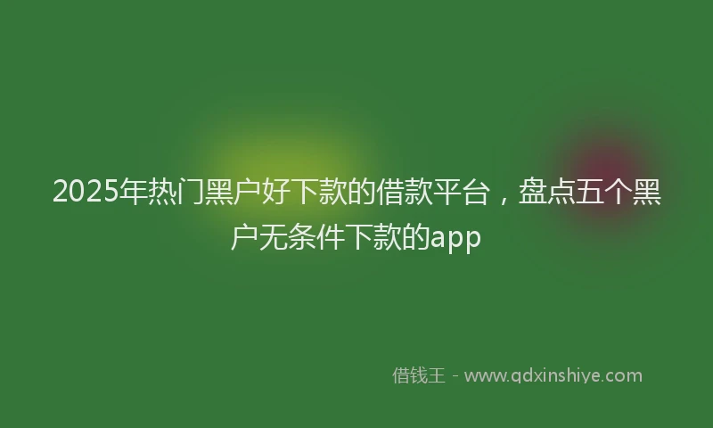 2025年热门黑户好下款的借款平台，盘点五个黑户无条件下款的app