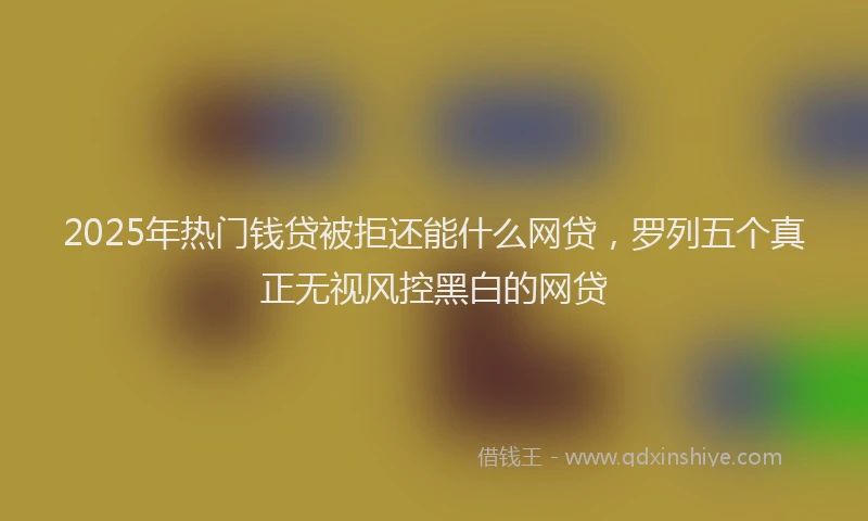 2025年热门钱贷被拒还能什么网贷，罗列五个真正无视风控黑白的网贷