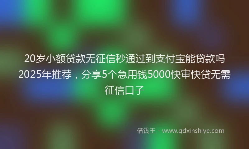 20岁小额贷款无征信秒通过到支付宝能贷款吗2025年推荐，分享5个急用钱5000快审快贷无需征信口子