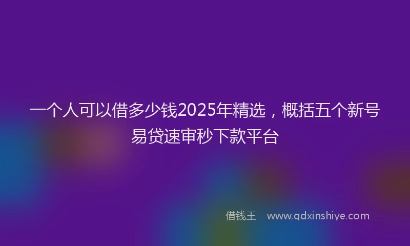 一个人可以借多少钱2025年精选，概括五个新号易贷速审秒下款平台