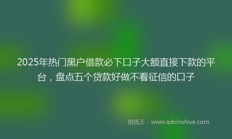 2025年热门黑户借款必下口子大额直接下款的平台，盘点五个贷款好做不看征信的口子