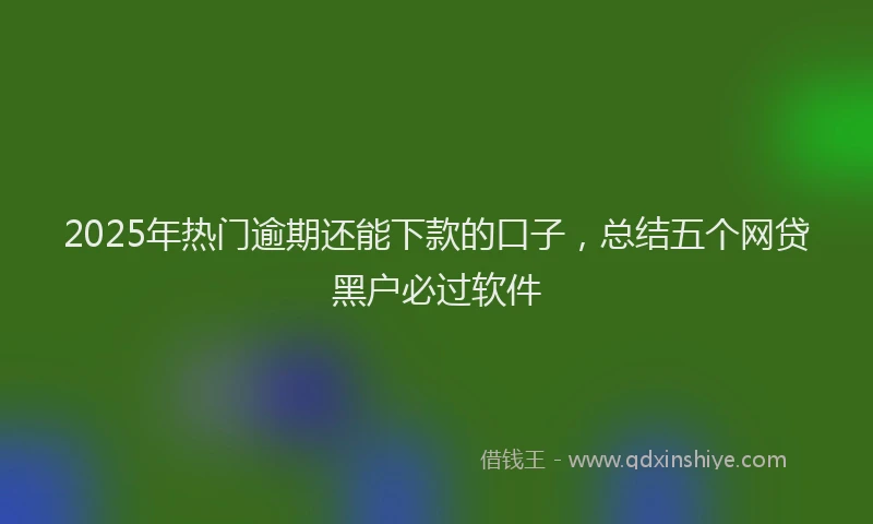 2025年热门逾期还能下款的口子，总结五个网贷黑户必过软件