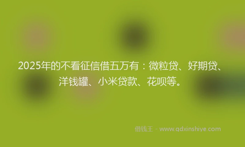 2025年的不看征信借五万有：微粒贷、好期贷、洋钱罐、小米贷款、花呗等。