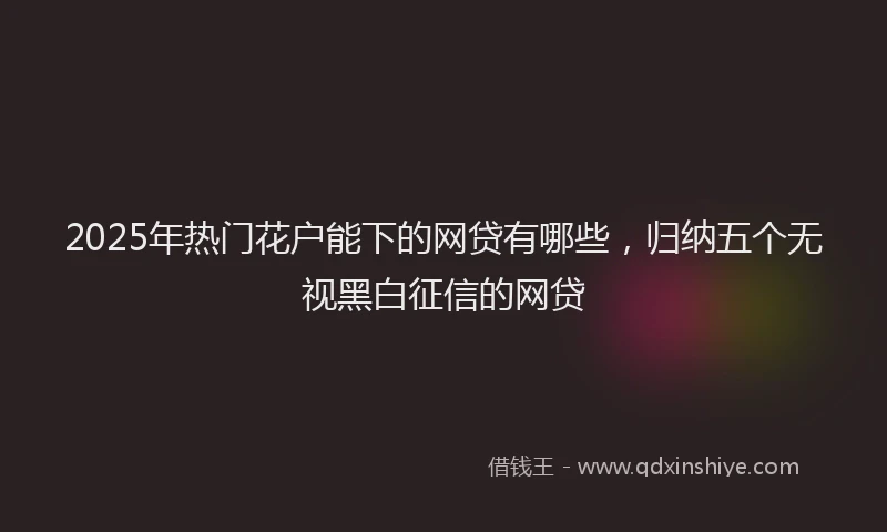 2025年热门花户能下的网贷有哪些，归纳五个无视黑白征信的网贷
