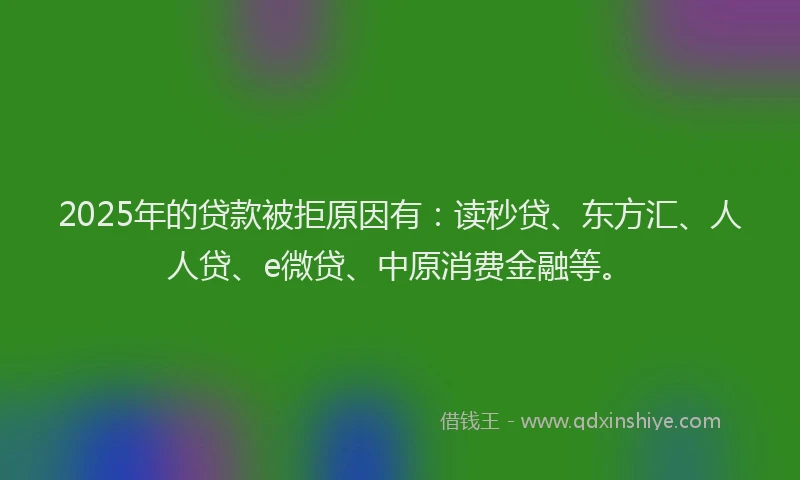 2025年的贷款被拒原因有：读秒贷、东方汇、人人贷、e微贷、中原消费金融等。