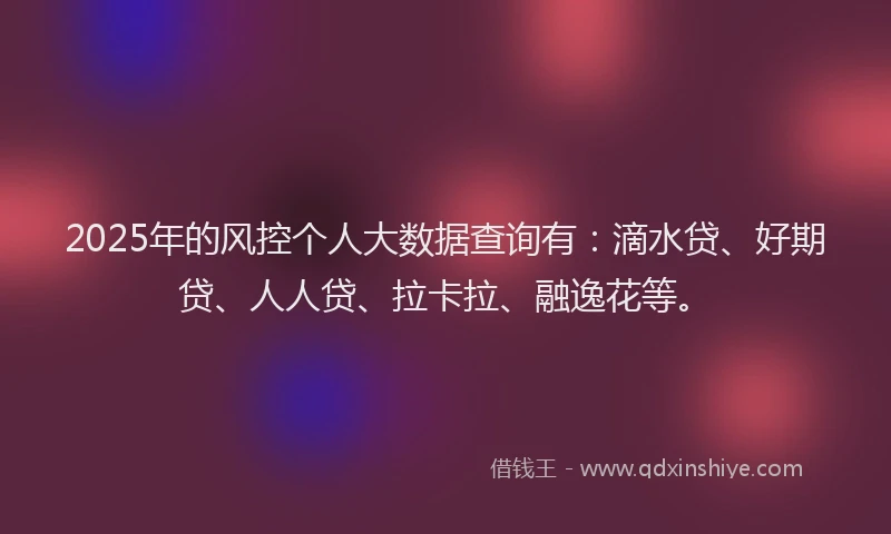 2025年的风控个人大数据查询有：滴水贷、好期贷、人人贷、拉卡拉、融逸花等。