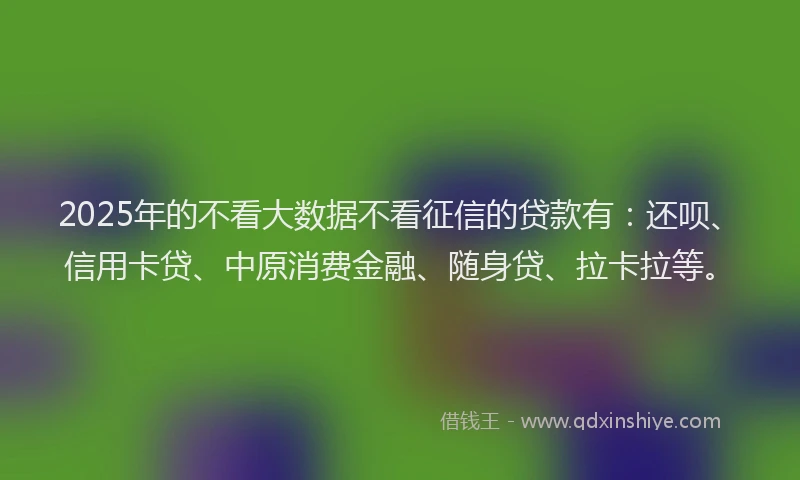 2025年的不看大数据不看征信的贷款有：还呗、信用卡贷、中原消费金融、随身贷、拉卡拉等。