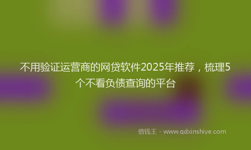 不用验证运营商的网贷软件2025年推荐，梳理5个不看负债查询的平台