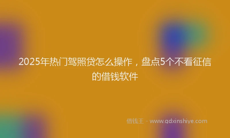 2025年热门驾照贷怎么操作，盘点5个不看征信的借钱软件