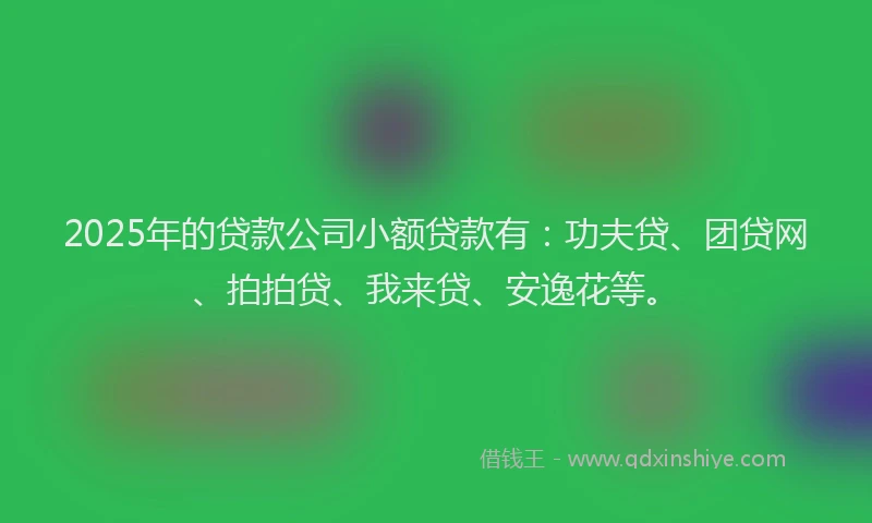 2025年的贷款公司小额贷款有：功夫贷、团贷网、拍拍贷、我来贷、安逸花等。
