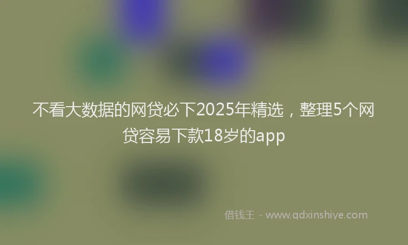 不看大数据的网贷必下2025年精选，整理5个网贷容易下款18岁的app