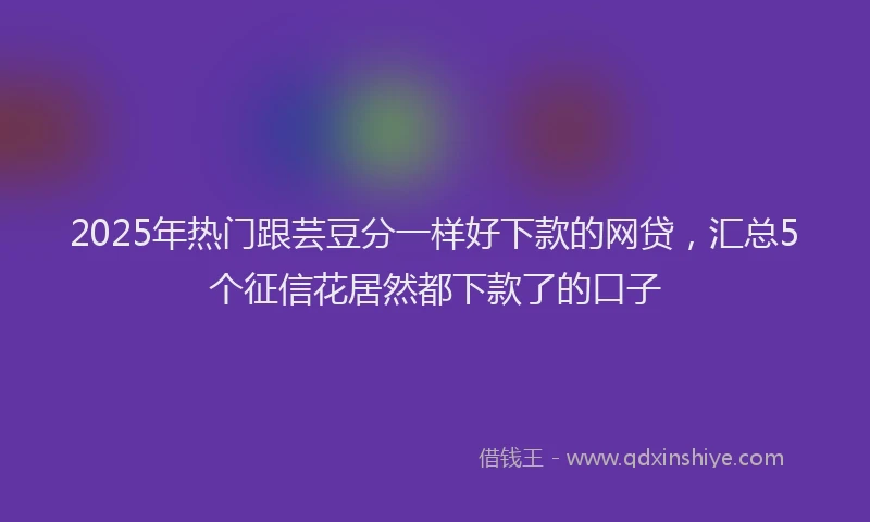 2025年热门跟芸豆分一样好下款的网贷，汇总5个征信花居然都下款了的口子