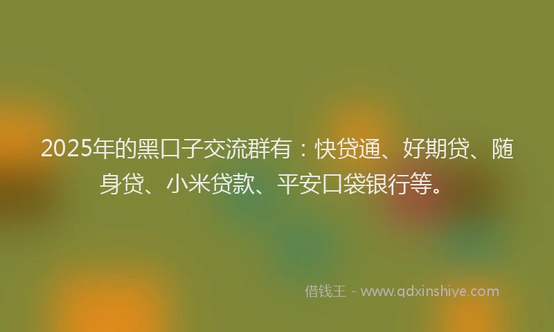 2025年的黑口子交流群有：快贷通、好期贷、随身贷、小米贷款、平安口袋银行等。