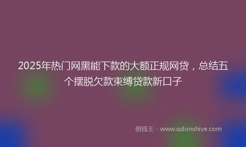2025年热门网黑能下款的大额正规网贷，总结五个摆脱欠款束缚贷款新口子