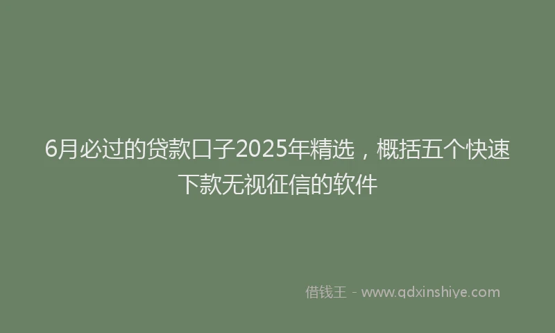 6月必过的贷款口子2025年精选，概括五个快速下款无视征信的软件