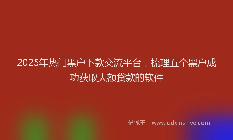 2025年热门黑户下款交流平台，梳理五个黑户成功获取大额贷款的软件