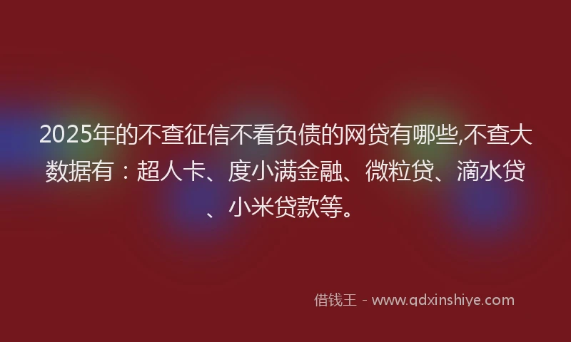 2025年的不查征信不看负债的网贷有哪些,不查大数据有：超人卡、度小满金融、微粒贷、滴水贷、小米贷款等。