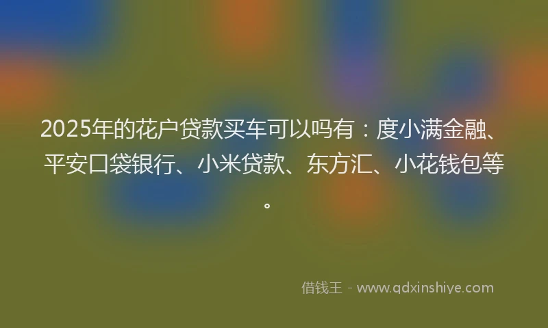 2025年的花户贷款买车可以吗有：度小满金融、平安口袋银行、小米贷款、东方汇、小花钱包等。