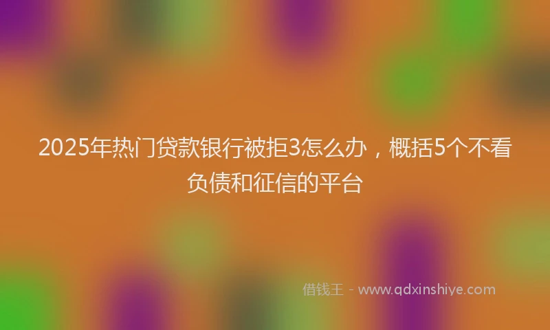 2025年热门贷款银行被拒3怎么办，概括5个不看负债和征信的平台
