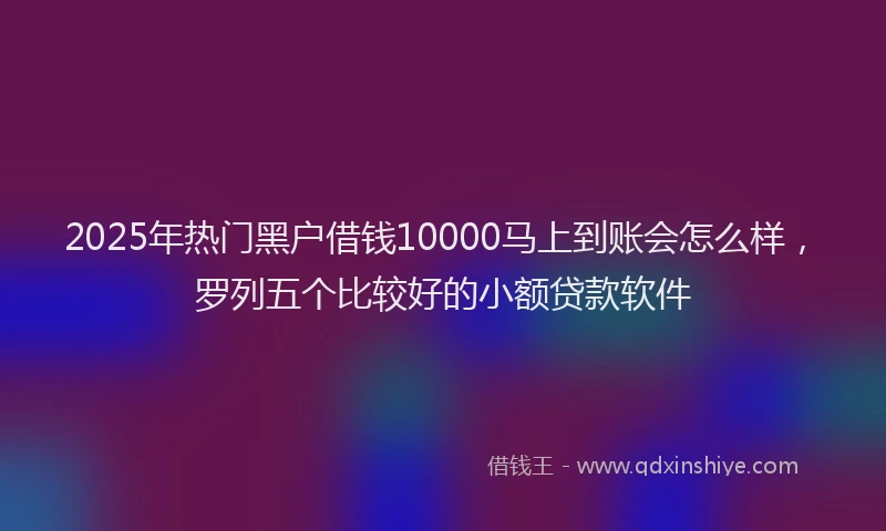 2025年热门黑户借钱10000马上到账会怎么样，罗列五个比较好的小额贷款软件