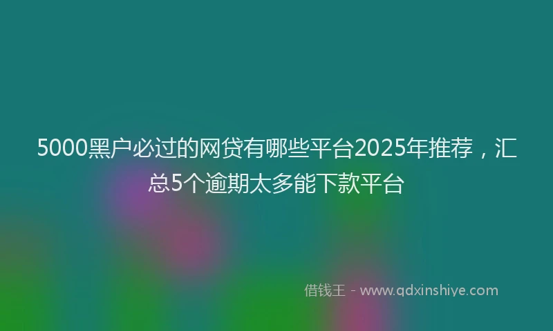 5000黑户必过的网贷有哪些平台2025年推荐，汇总5个逾期太多能下款平台