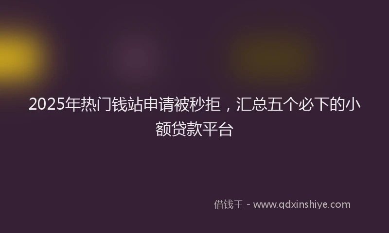 2025年热门钱站申请被秒拒，汇总五个必下的小额贷款平台