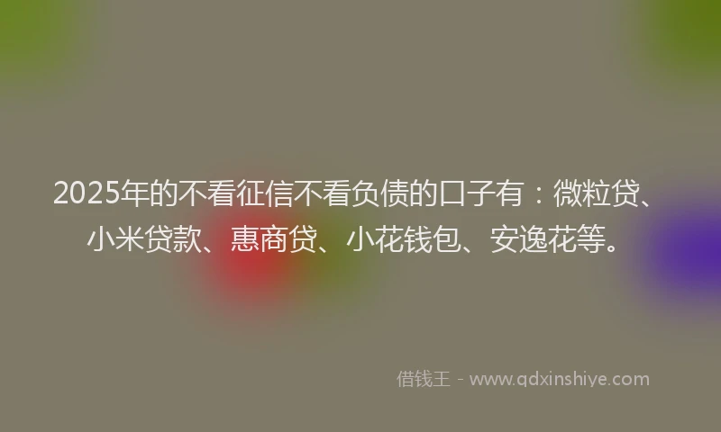 2025年的不看征信不看负债的口子有：微粒贷、小米贷款、惠商贷、小花钱包、安逸花等。