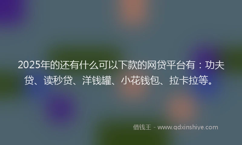 2025年的还有什么可以下款的网贷平台有：功夫贷、读秒贷、洋钱罐、小花钱包、拉卡拉等。