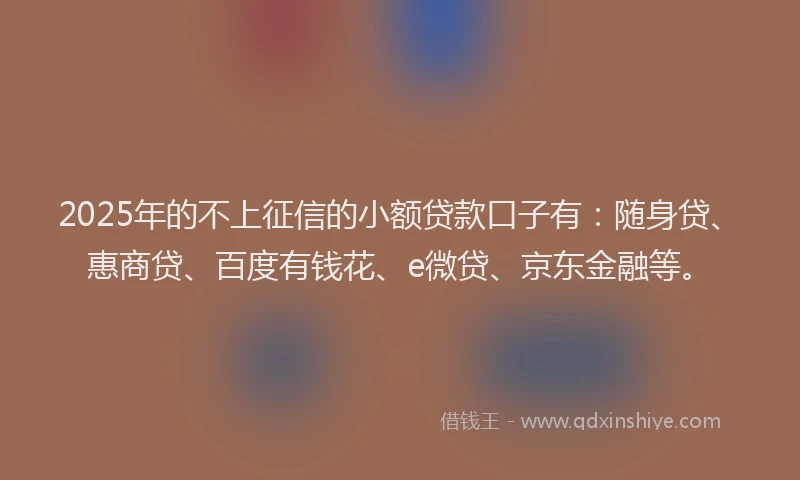 2025年的不上征信的小额贷款口子有：随身贷、惠商贷、百度有钱花、e微贷、京东金融等。