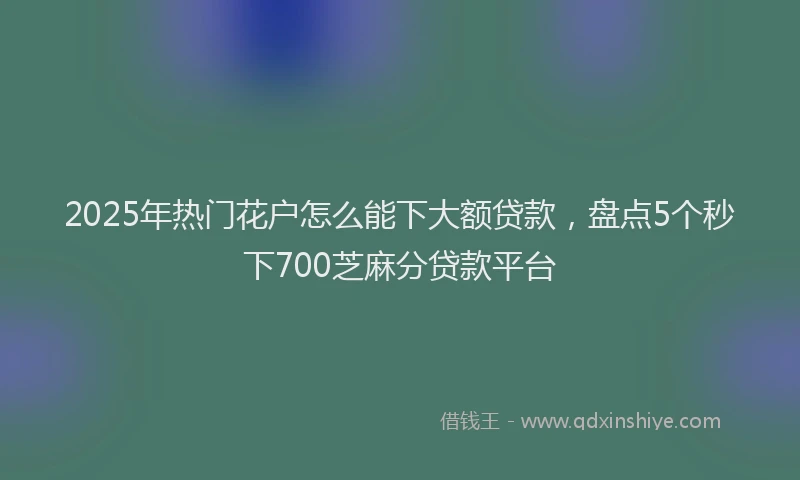 2025年热门花户怎么能下大额贷款，盘点5个秒下700芝麻分贷款平台