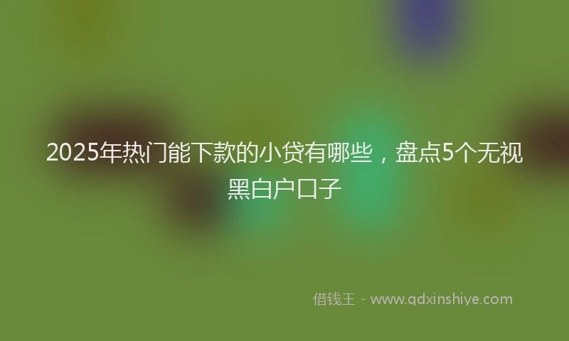 2025年热门能下款的小贷有哪些，盘点5个无视黑白户口子