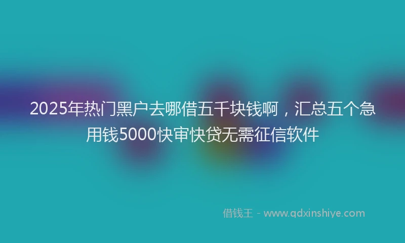 2025年热门黑户去哪借五千块钱啊，汇总五个急用钱5000快审快贷无需征信软件