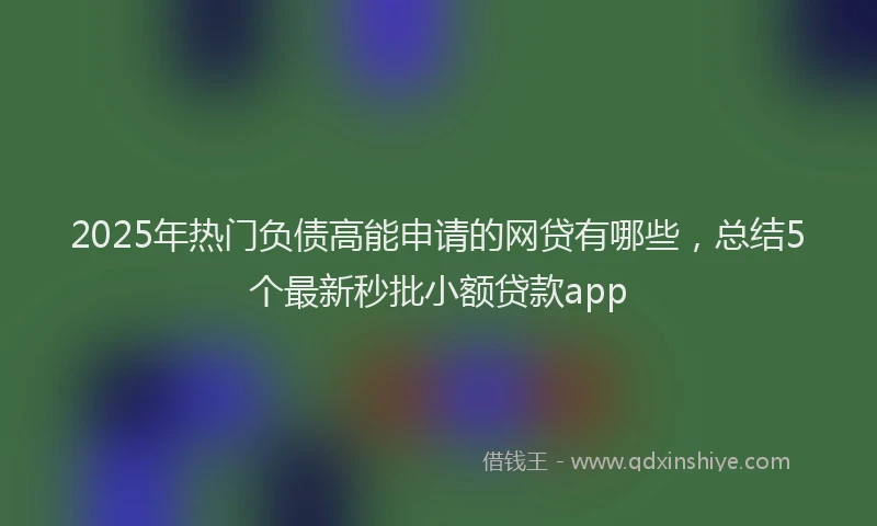 2025年热门负债高能申请的网贷有哪些，总结5个最新秒批小额贷款app