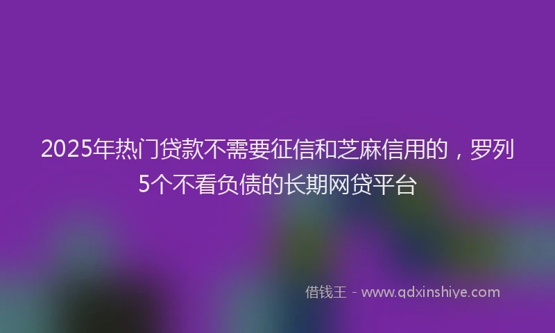 2025年热门贷款不需要征信和芝麻信用的，罗列5个不看负债的长期网贷平台