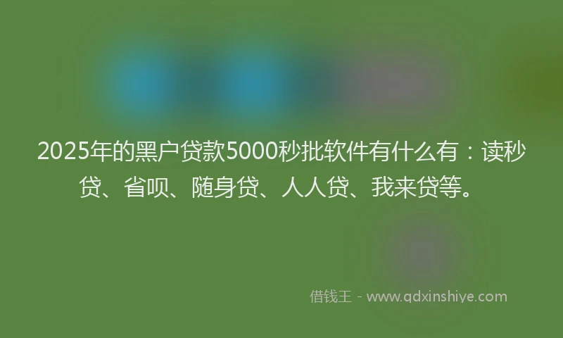 2025年的黑户贷款5000秒批软件有什么有：读秒贷、省呗、随身贷、人人贷、我来贷等。