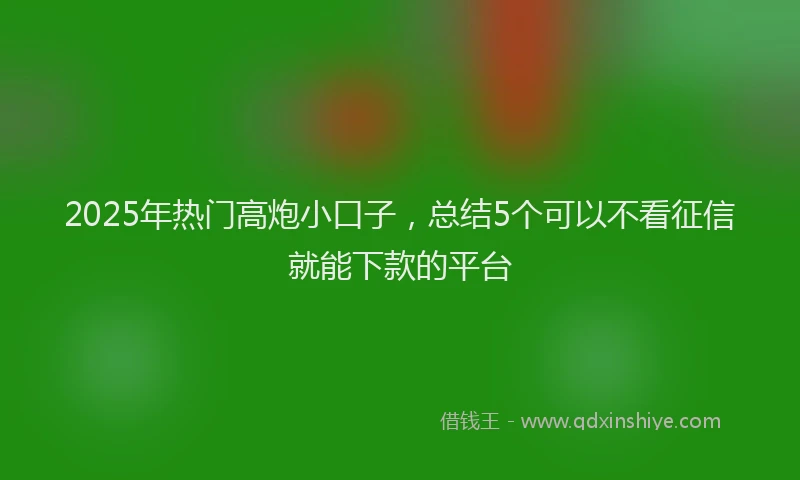 2025年热门高炮小口子，总结5个可以不看征信就能下款的平台