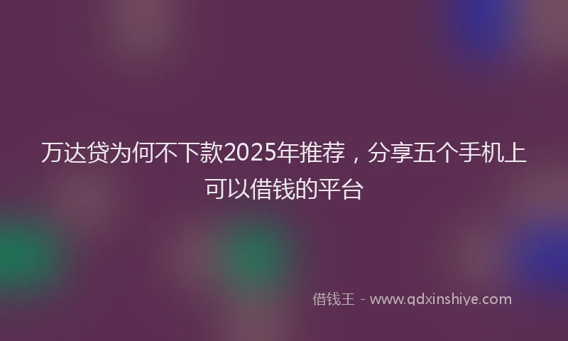 万达贷为何不下款2025年推荐，分享五个手机上可以借钱的平台