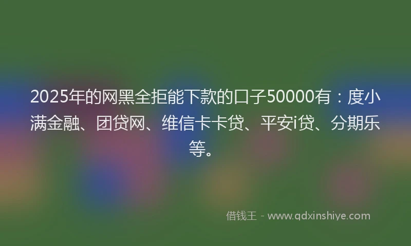 2025年的网黑全拒能下款的口子50000有：度小满金融、团贷网、维信卡卡贷、平安i贷、分期乐等。