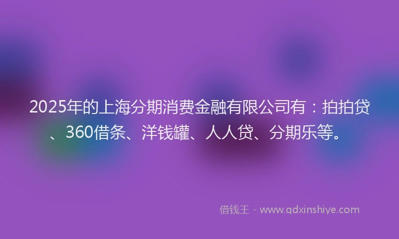 2025年的上海分期消费金融有限公司有：拍拍贷、360借条、洋钱罐、人人贷、分期乐等。
